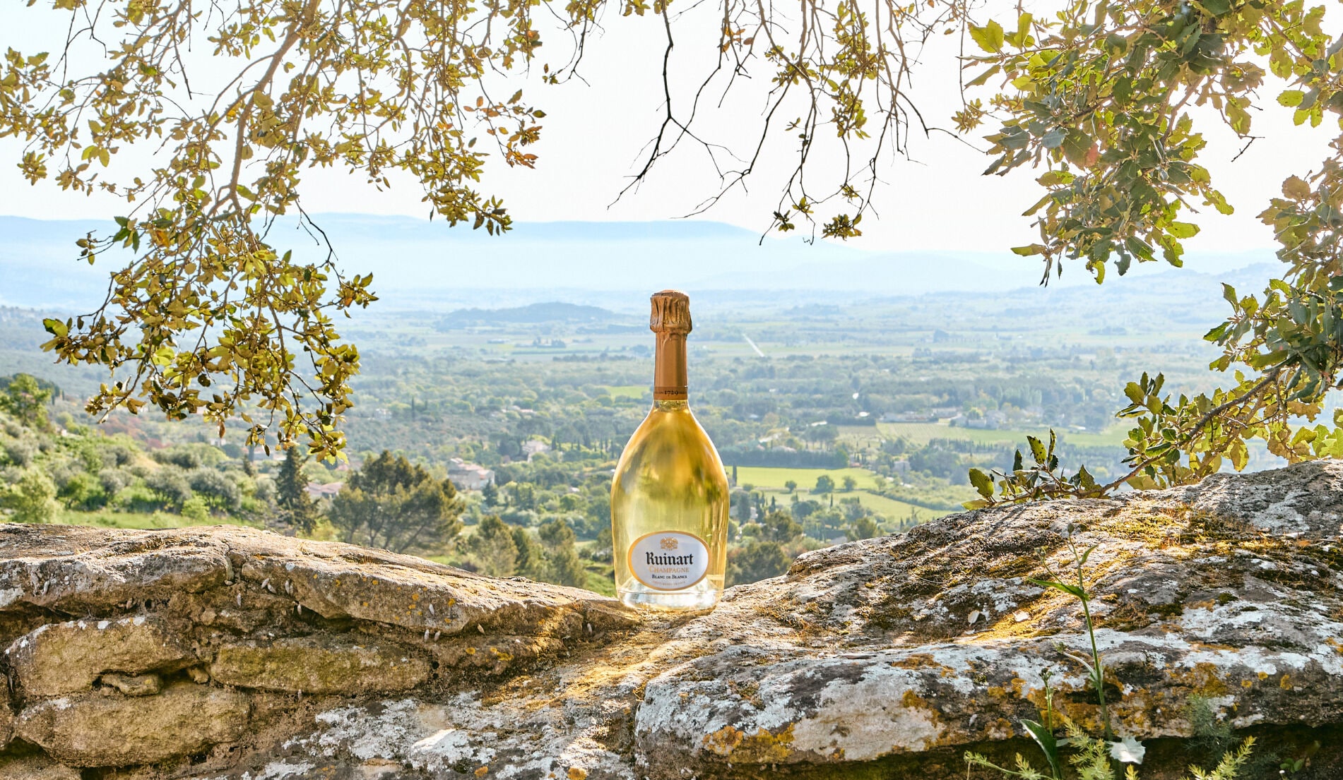 THE RUINART RANGE