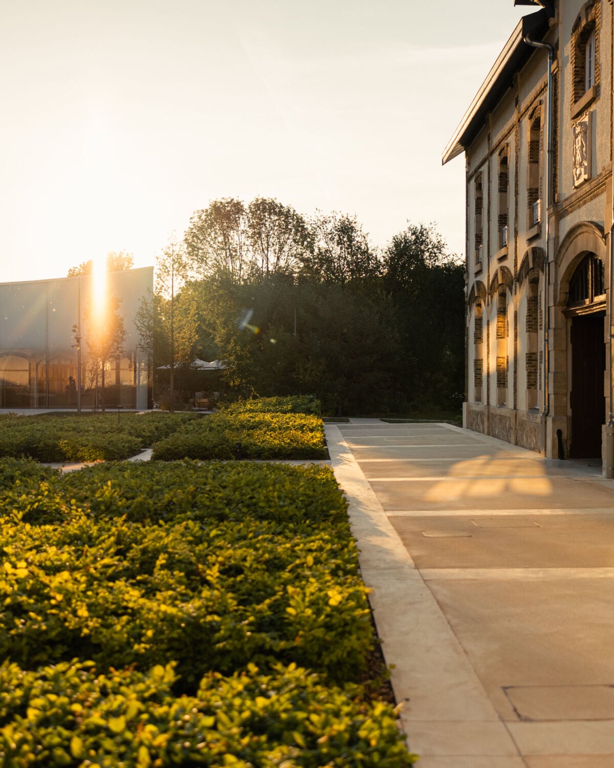 Image without a name