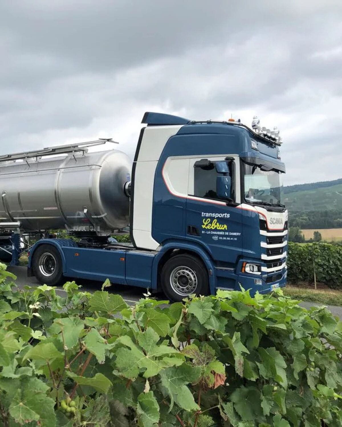 truck & vines truck & vines