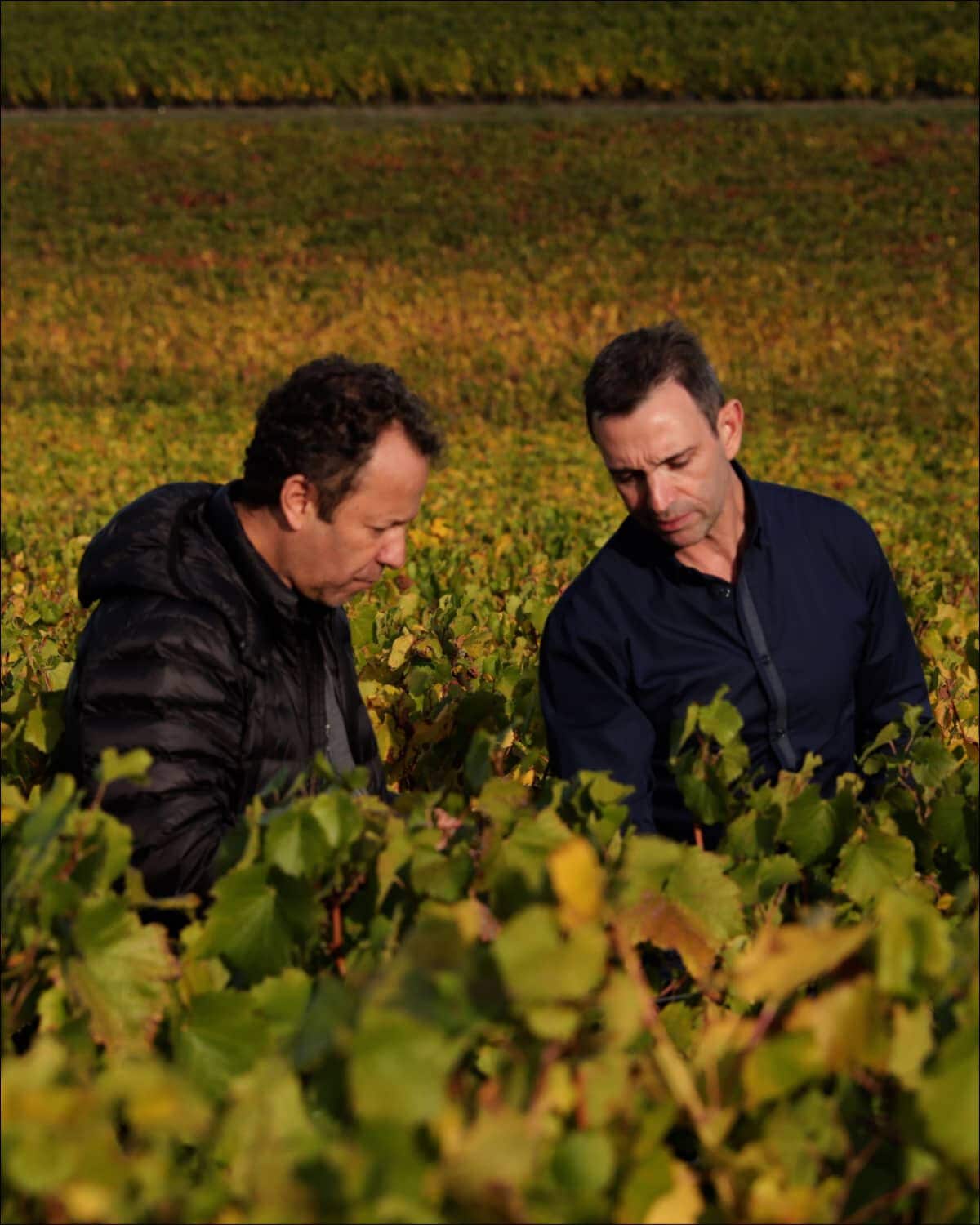 Image without a name