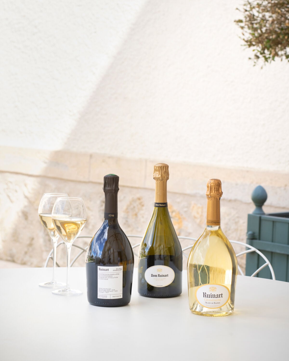 Signature chardonnay