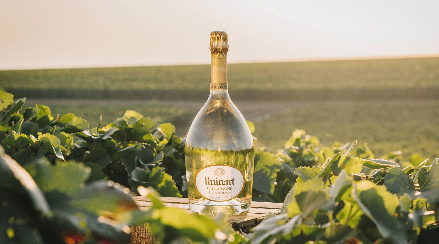 Champagne Blanc de Blancs Ruinart 0.75 lt.