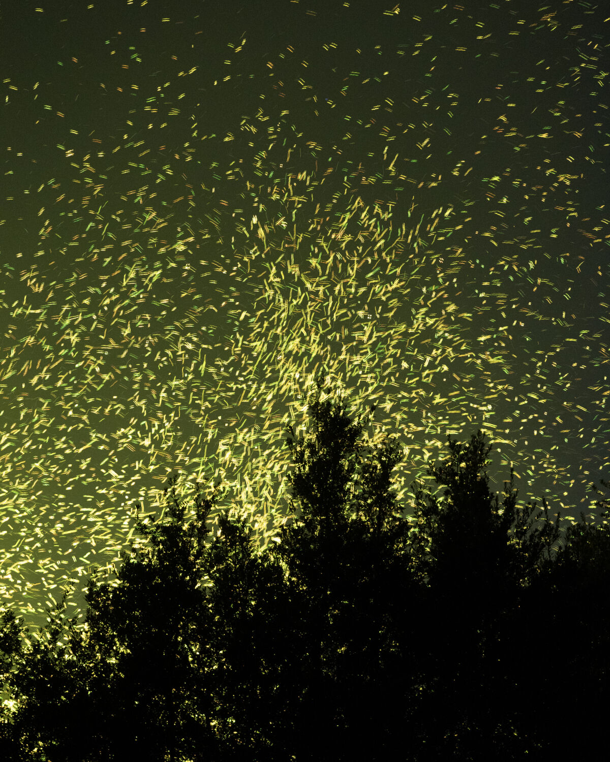 EXPERIENCES DE FIN D'ANNEE