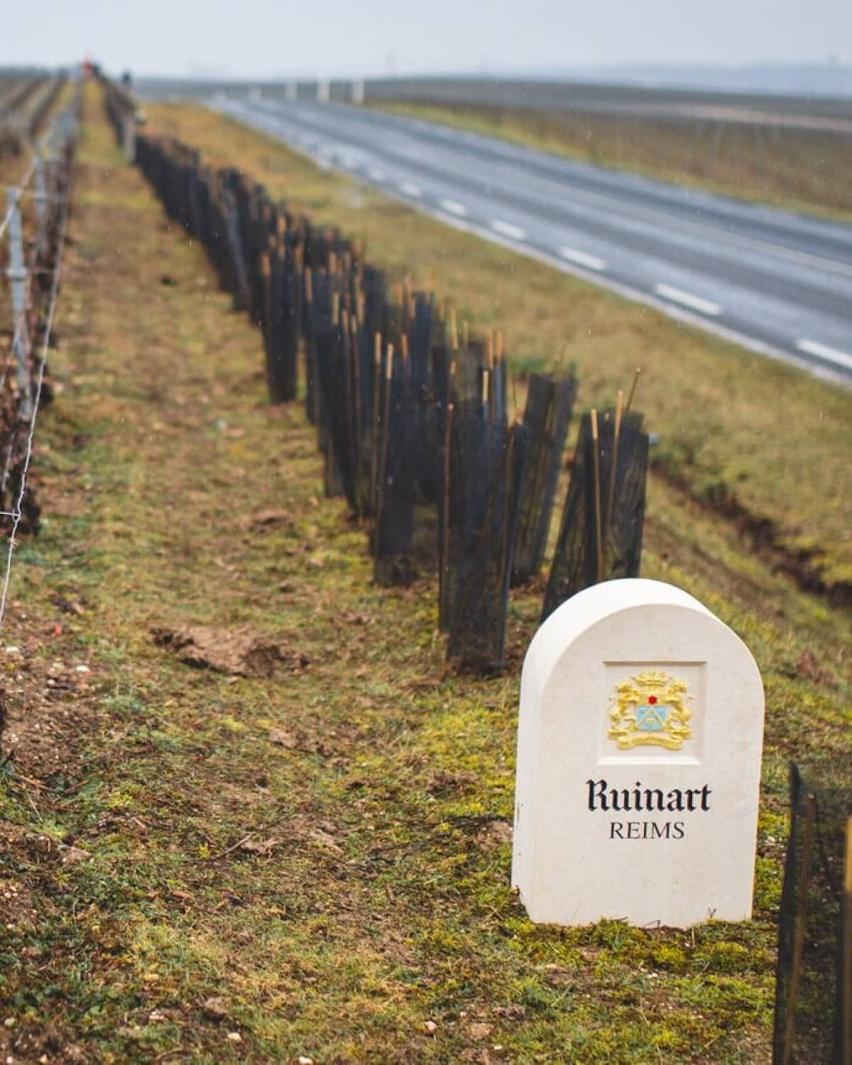 FAVORISER LA BIODIVERSITÉ