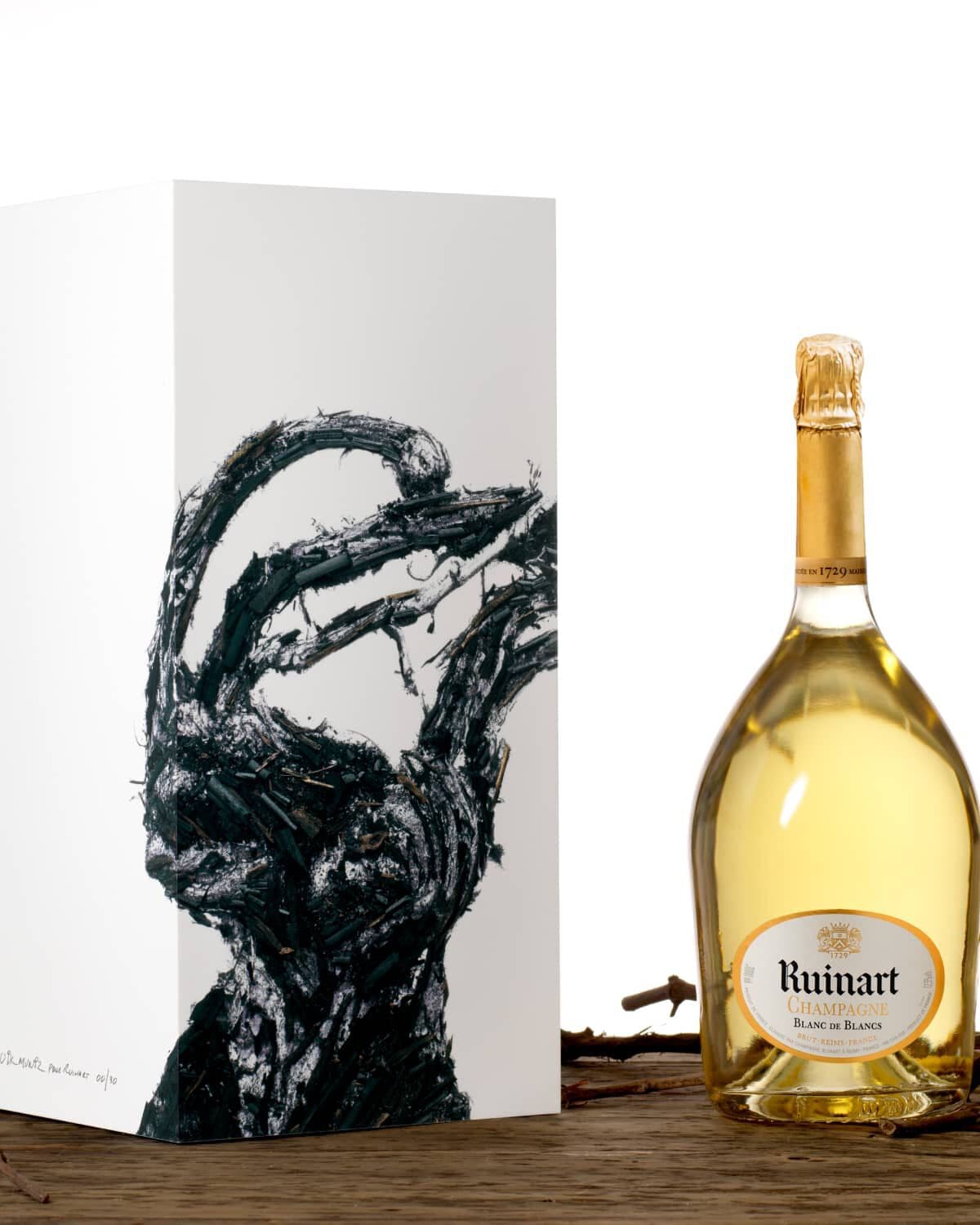 Jeroboam VIK MUNIZ Jeroboam VIK MUNIZ
