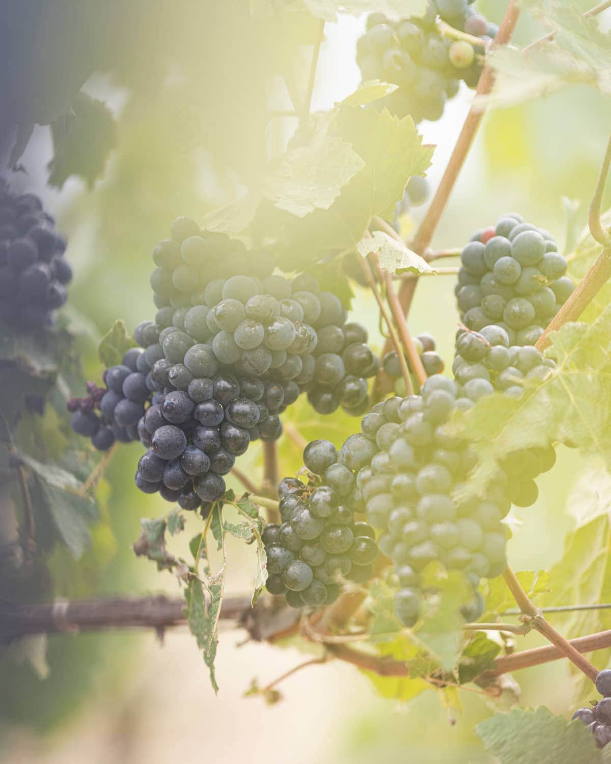 Image without a name