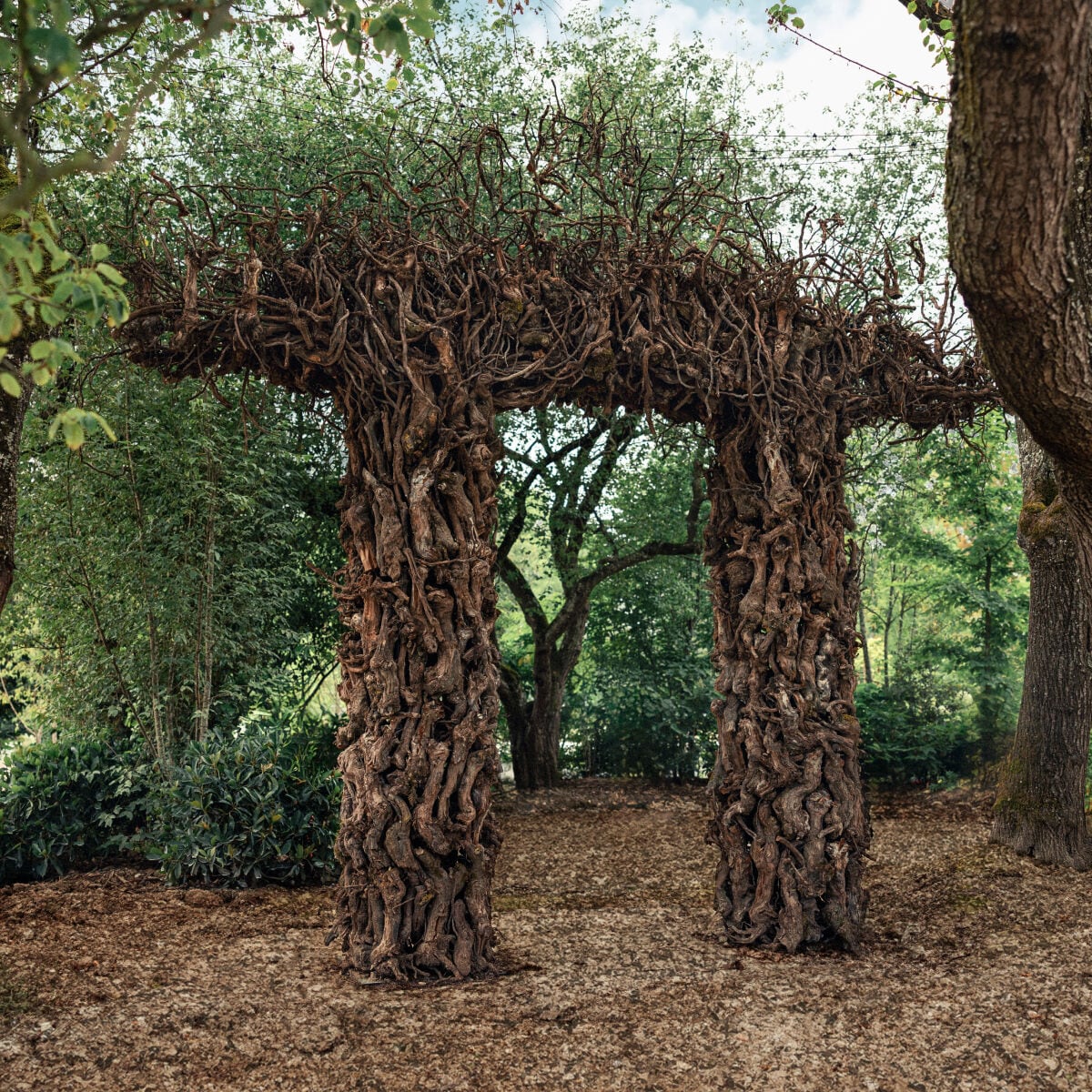 Image without a name