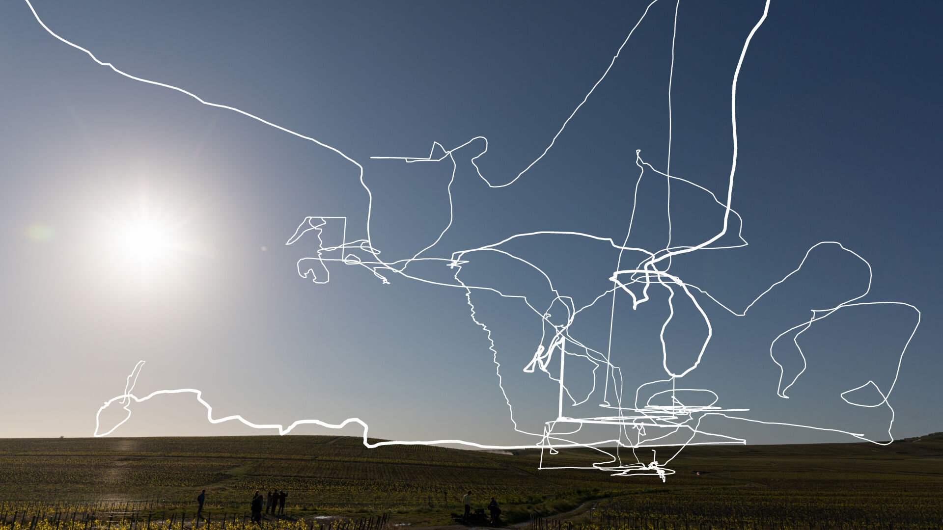 TOMÁS SARACENO FOR RUINART