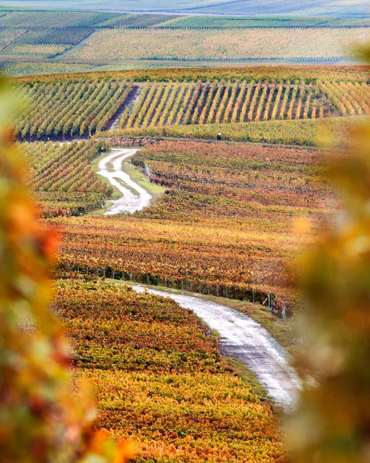 Image without a name