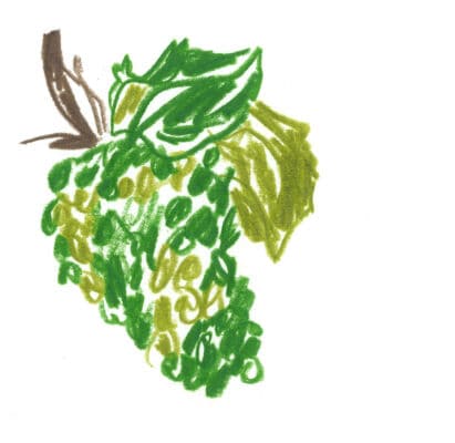 sustainable production