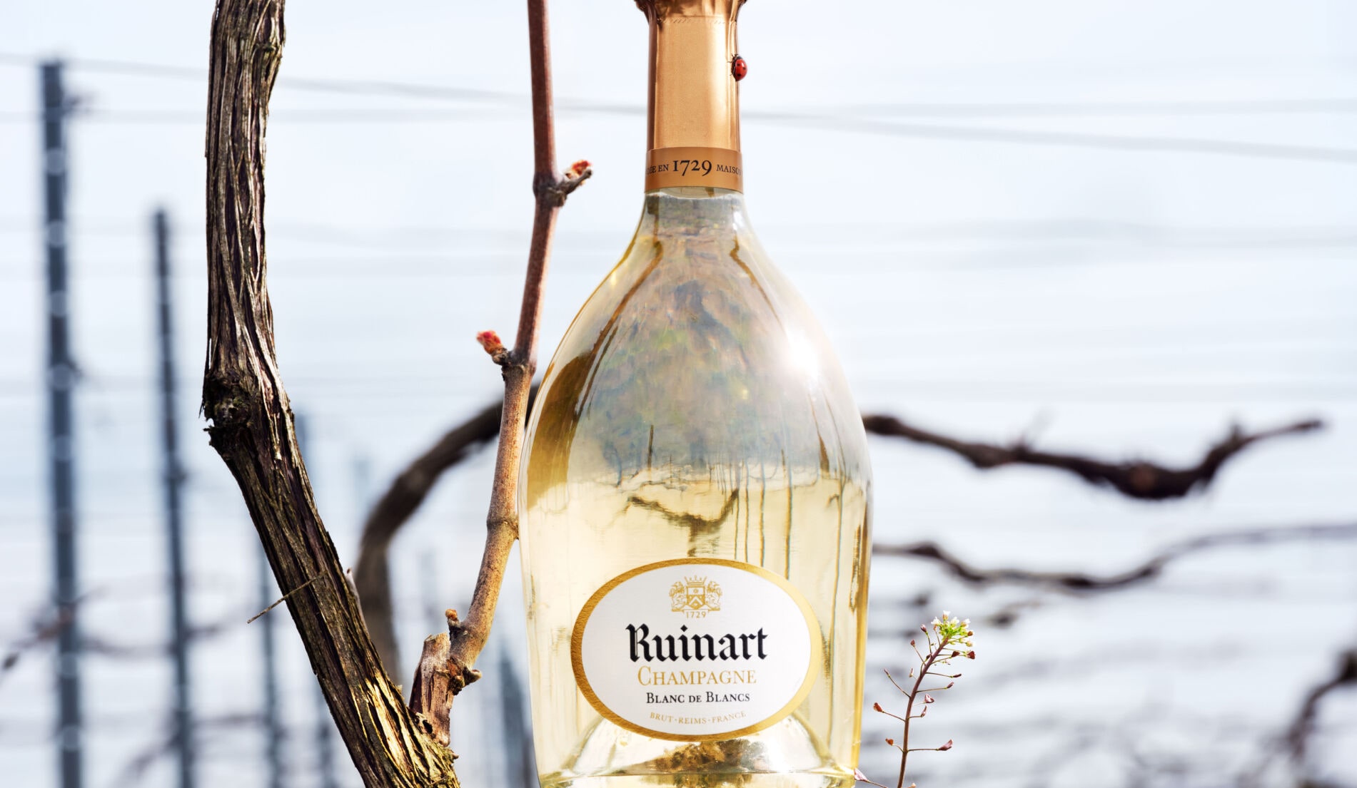 Image without a name